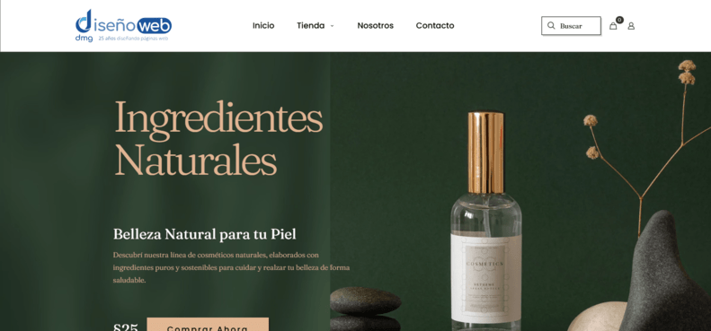 Plantilla de ecommerce 10 con diseño para tiendas de gadgets