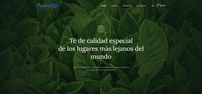 Plantilla de ecommerce 11 con diseño para tiendas de moda masculina