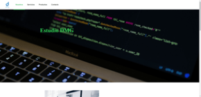 modelo de web económica 29