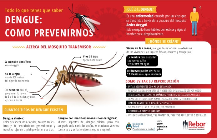 Diseño editorial ejemplo 5