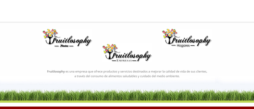 modelo web personalizada 05